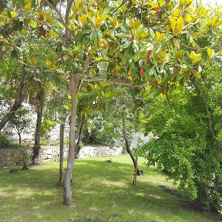 Holiday home Villetta 5 Terre